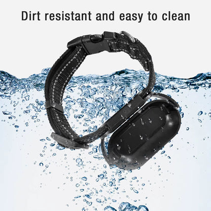 Capture Every Adventure with the Adjustable Pet Collar Camera - 120° Lens and Instant Sharing!