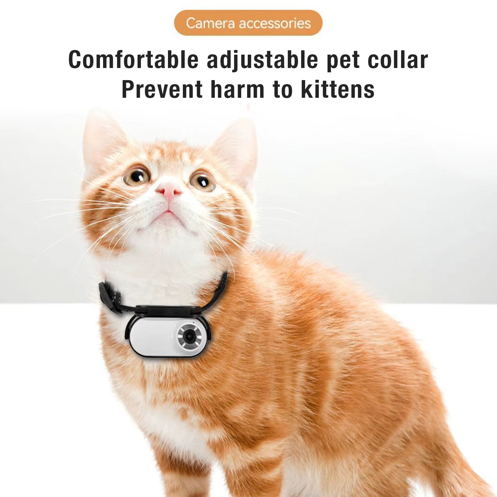 Capture Every Adventure with the Adjustable Pet Collar Camera - 120° Lens and Instant Sharing!