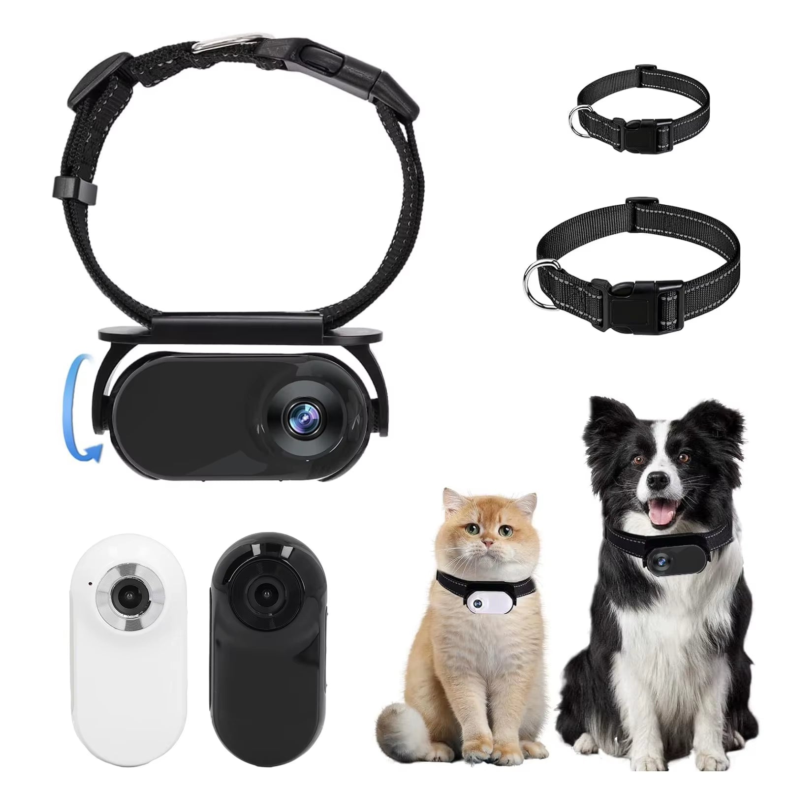 Capture Every Adventure with the Adjustable Pet Collar Camera - 120° Lens and Instant Sharing!