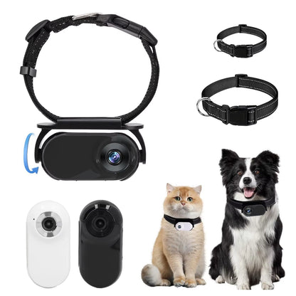 Capture Every Adventure with the Adjustable Pet Collar Camera - 120° Lens and Instant Sharing!