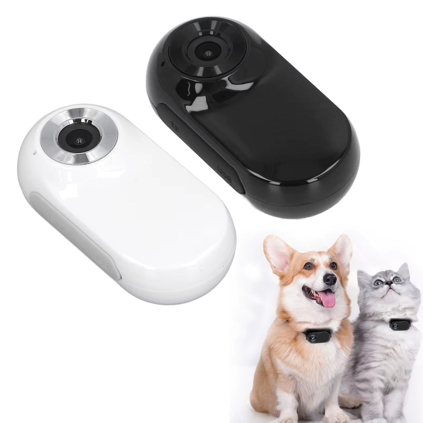 Capture Every Adventure with the Adjustable Pet Collar Camera - 120° Lens and Instant Sharing!