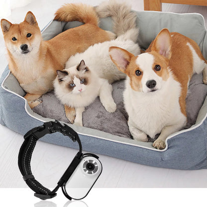 Capture Every Adventure with the Adjustable Pet Collar Camera - 120° Lens and Instant Sharing!