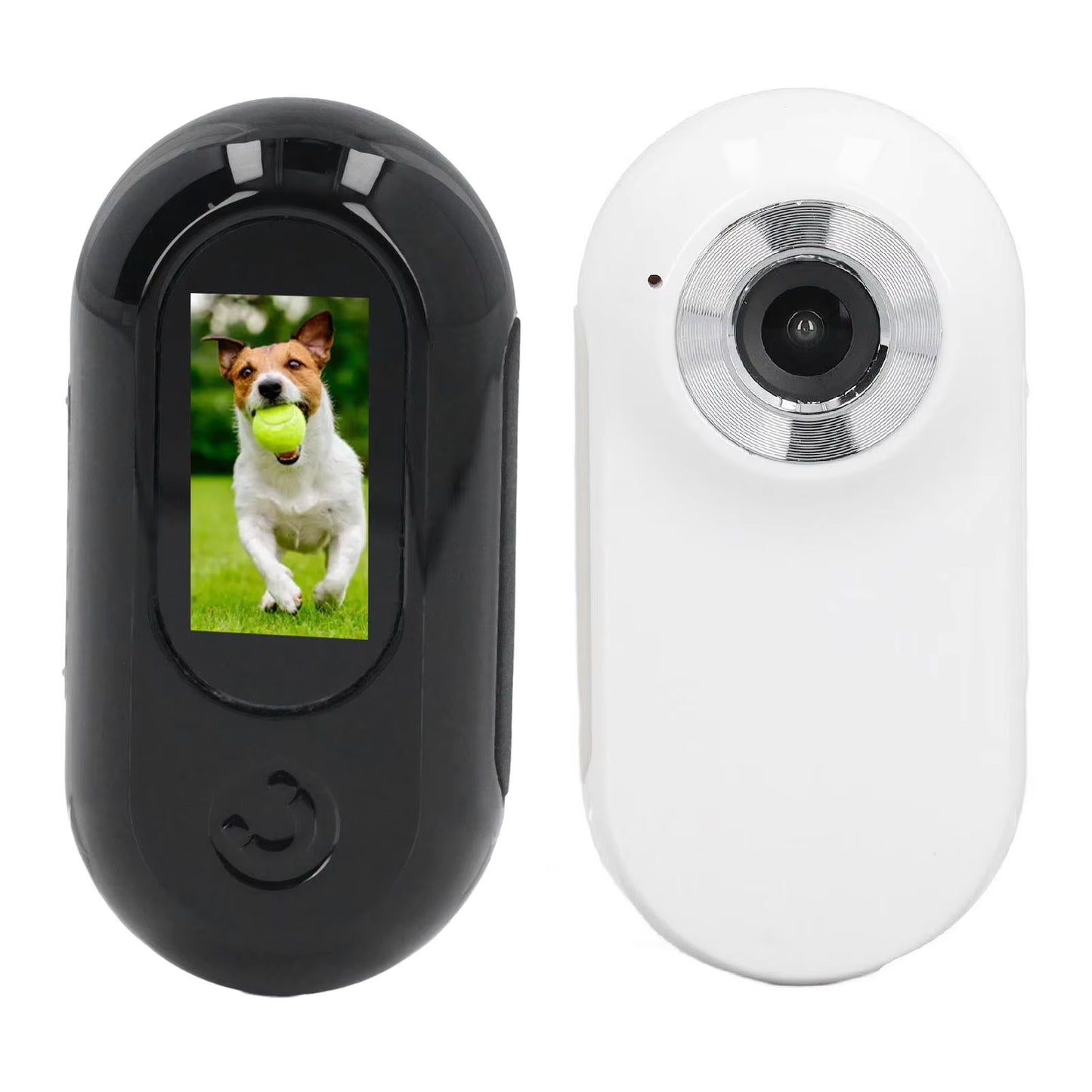 Capture Every Adventure with the Adjustable Pet Collar Camera - 120° Lens and Instant Sharing!